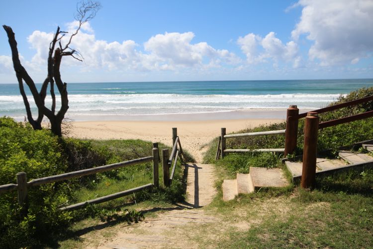 Paradise Waters – No. 13