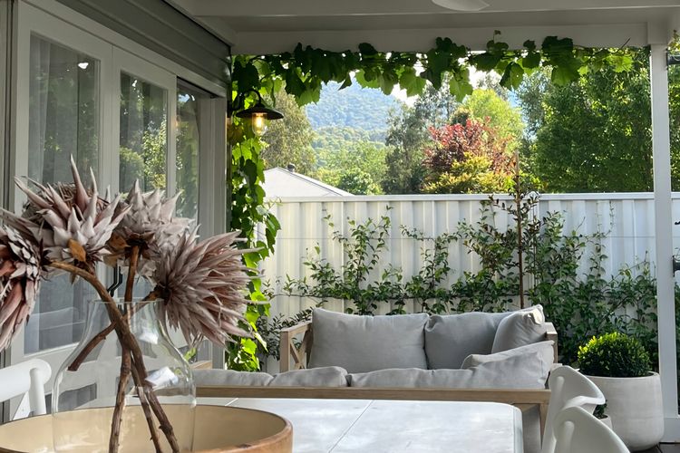 Backyard image 3