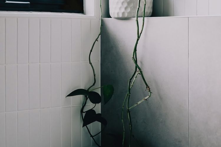 Indoor plants - create natural interest.