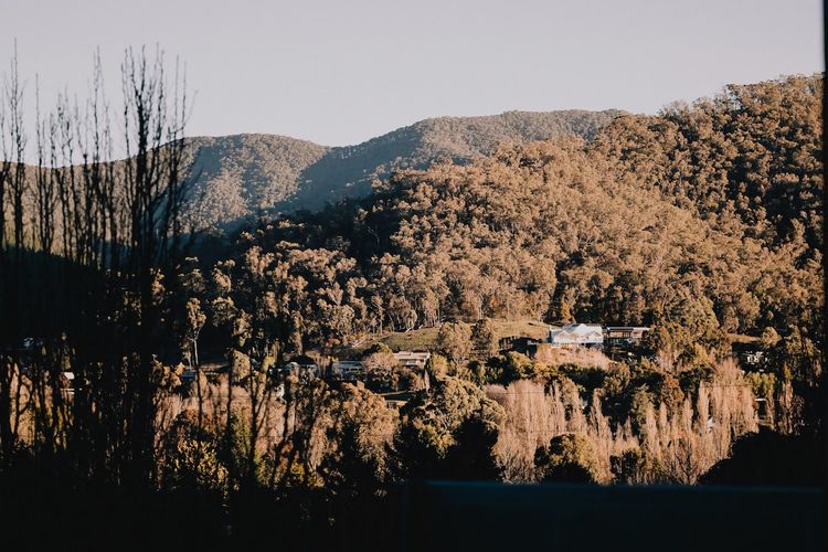 The seasons and light forever changing the scenery - Winter views
