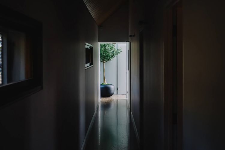 Queensland bottle tree - an Australian native tree
Perfectly positioned to create a wellness retreat feel as you leave your room to begin the day.