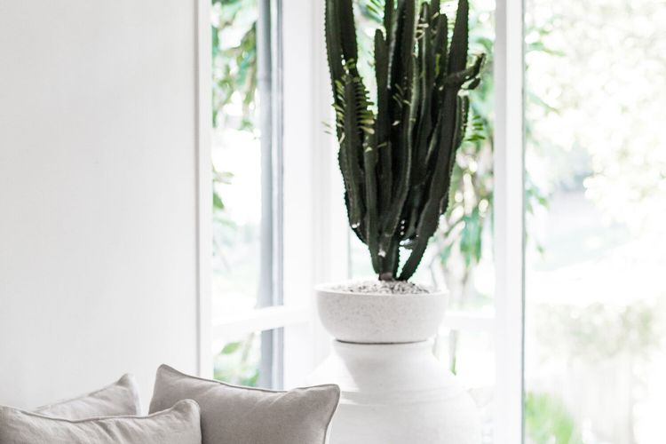 Dukes Beach House – Pool – Designer – Location