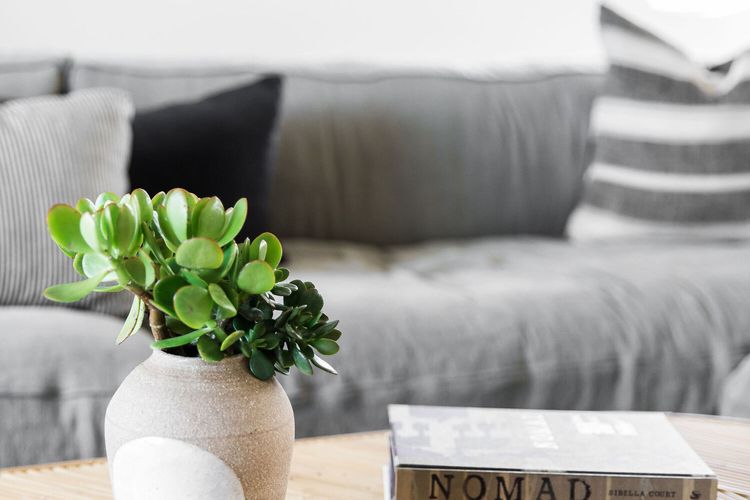 The Beach Retreat -2 Bedrooms – Pool – River Views