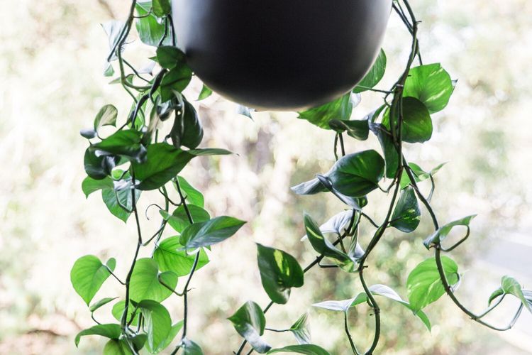 The Beach Retreat -2 Bedrooms – Pool – River Views