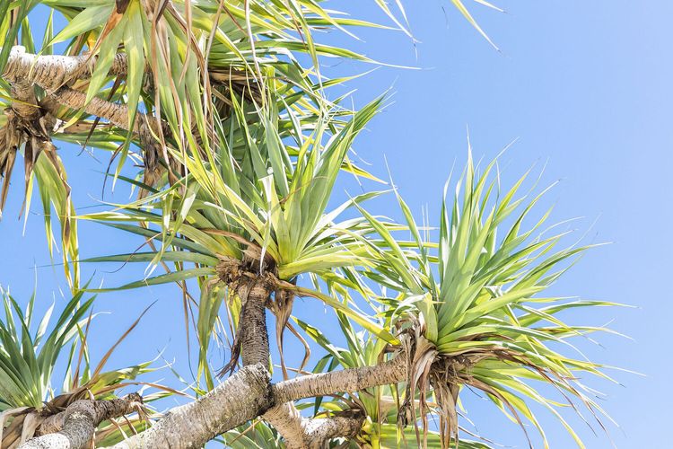 The Beach Retreat -2 Bedrooms – Pool – River Views