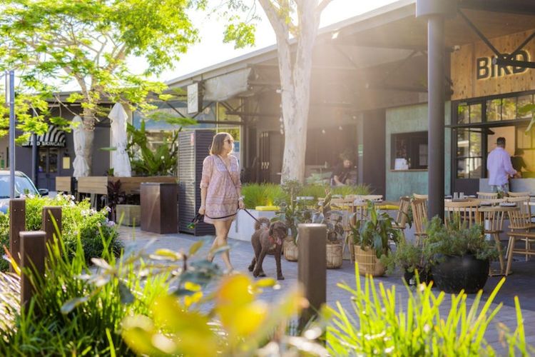 The Sea House – pool – ocean views – pets