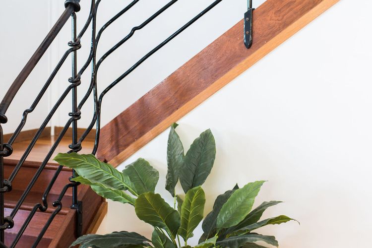 The Sea House – pool – ocean views – pets