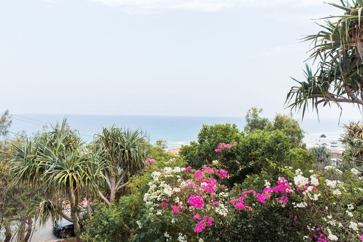 The Sea House – pool – ocean views – pets