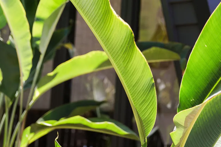 The Sunshine Bungalow – private pool – decks – location