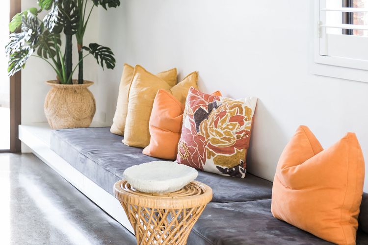 The Coconut Palm TWO