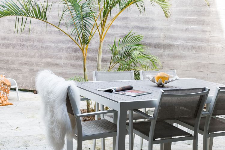 The Coconut Palm TWO