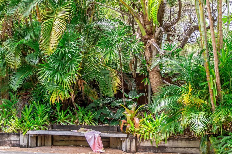 Little Cove Treetops –  3 bedrooms – Style – Beach – Location