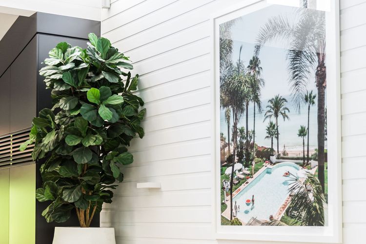 Little Cove Treetops –  3 bedrooms – Style – Beach – Location