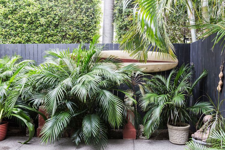 ALOHA – 5/17 Noosa Pde – location and style