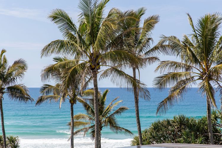 Sunshine Haven – Pool – Beach front – Ocean Views