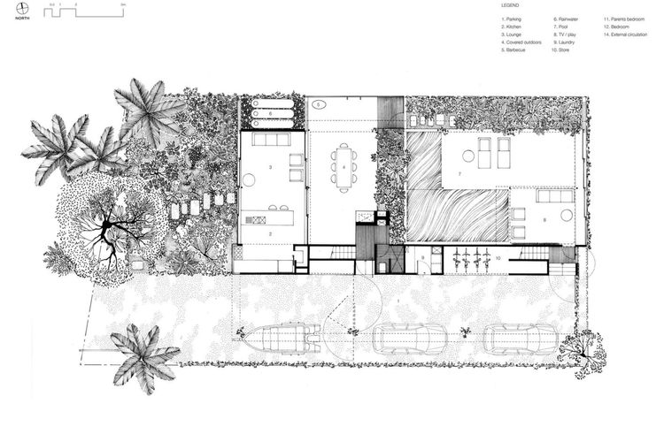 The Rainforest House, Little Cove