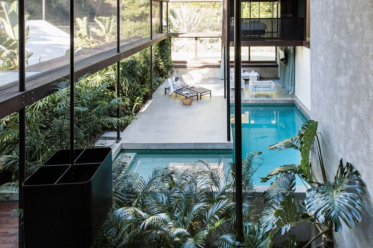 The Rainforest House, Little Cove