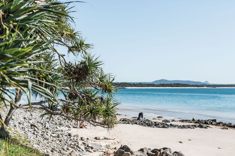 Tea Trees 3 – relaxed coastal apartment, location!