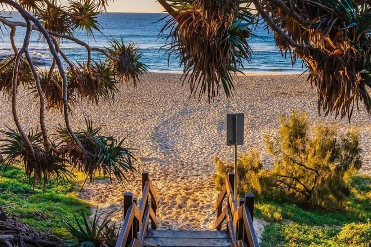 Tropical Escape – Sunshine Beach Retreat