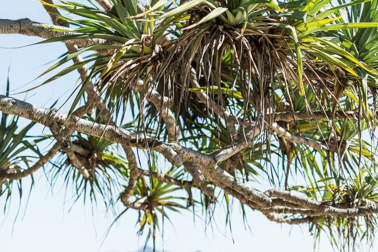 The Beach House – Pool – Tennis Court – Location!