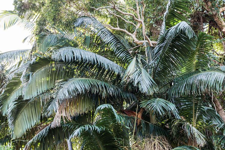 The Beach House – Pool – Tennis Court – Location!