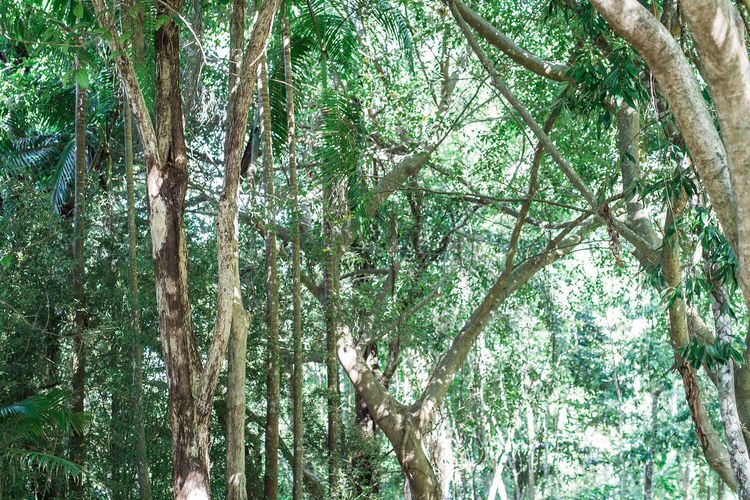 The Beach House – Pool – Tennis Court – Location!