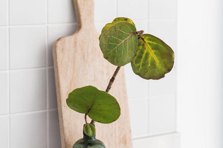 The Beach House – Pool – Tennis Court – Location!