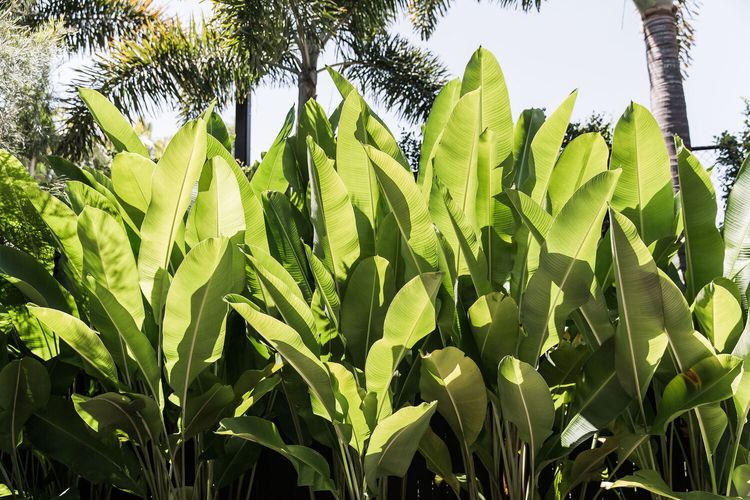 The Beach Lodge – 2 Bedrooms – Location and Style