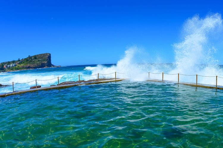 Angophora Beach House