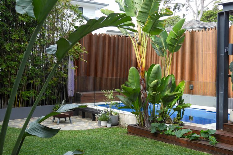 Freshwater Sanctuary