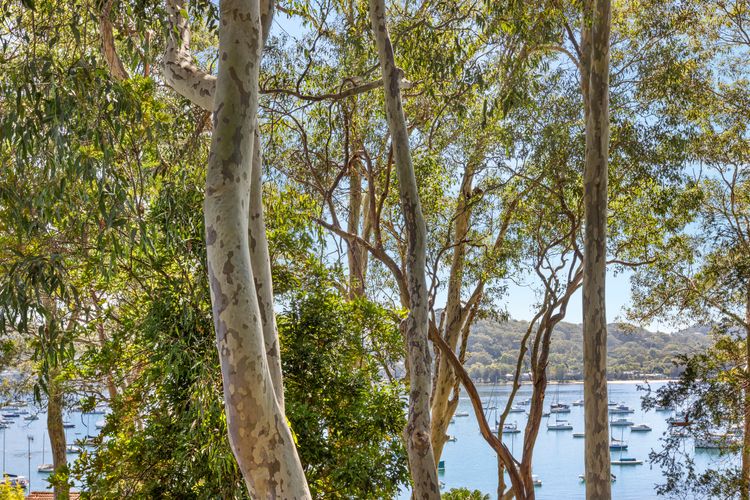 The Treehouse Avalon