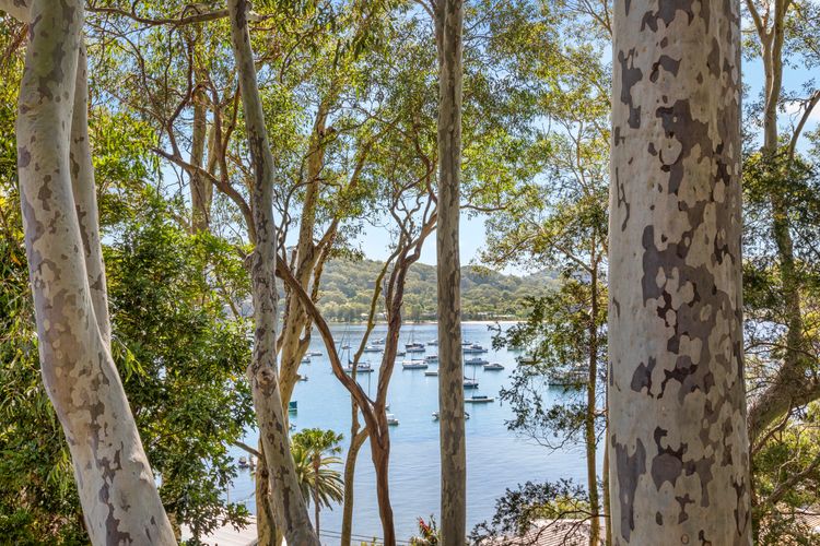 The Treehouse Avalon