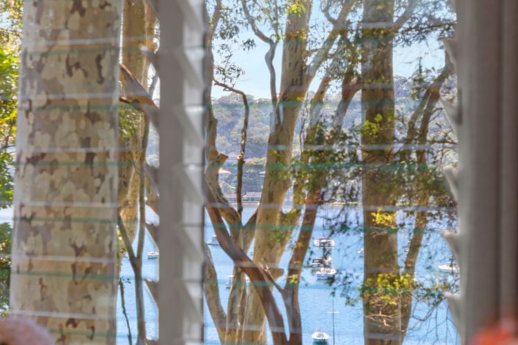 The Treehouse Avalon