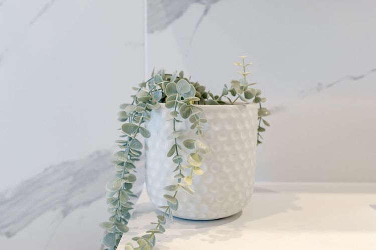 The Hamptons Lake House Noosa Heads Luxury House