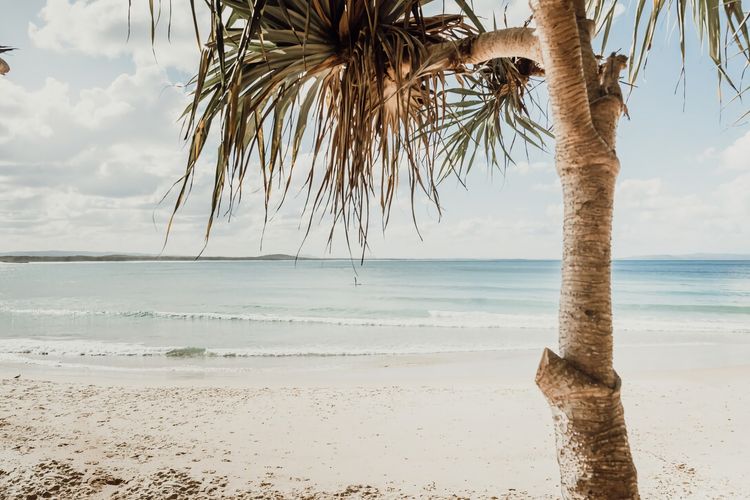 Belmore Palms 2 Min to Surfie Village Beach