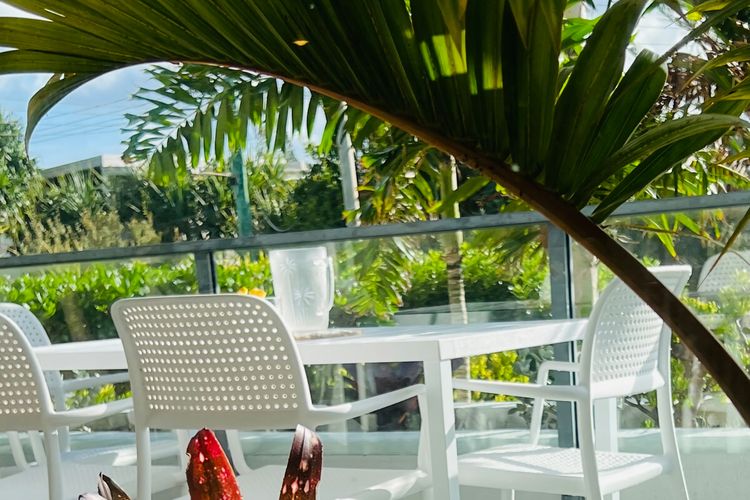 Belmore Palms 2 Min to Surfie Village Beach