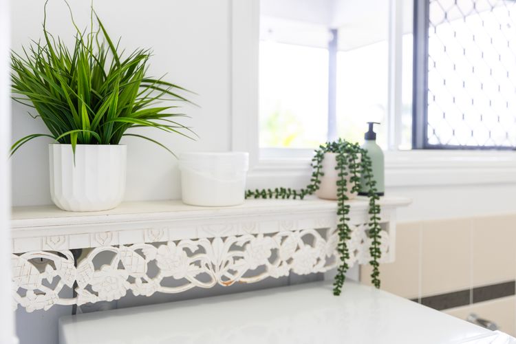Palm Studio Annandale