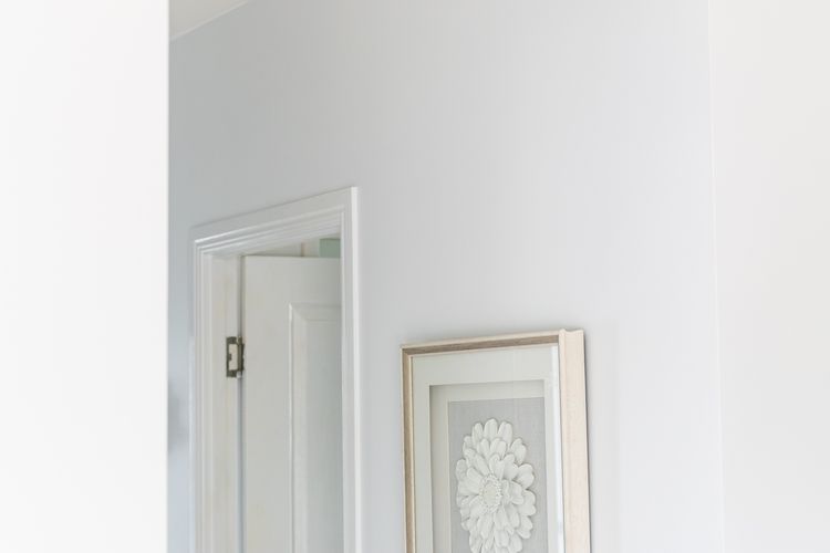 Palm Studio Annandale