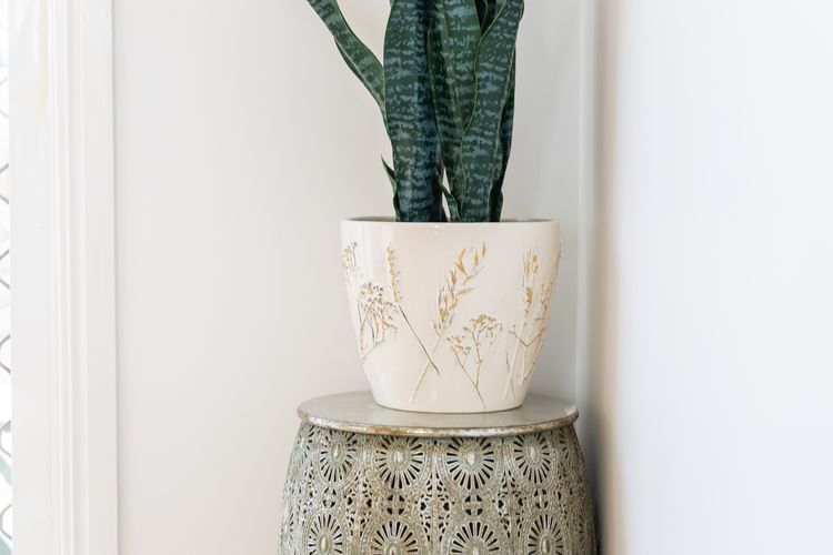 Palm Studio Annandale