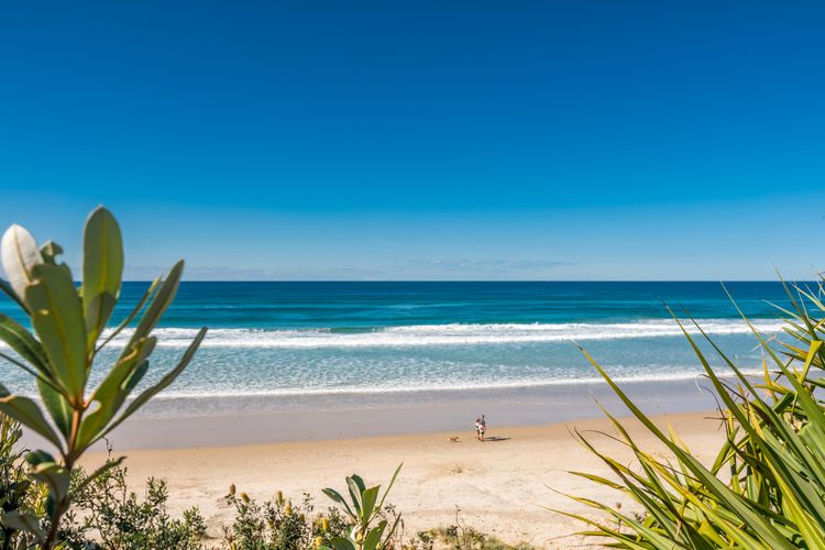 Beachcombers Cottage – beachfront pet retreat