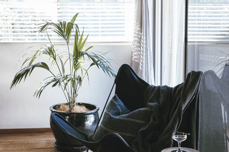 Grand Luxe Villa – 2 Bedroom Retreat with Pool and Spa.