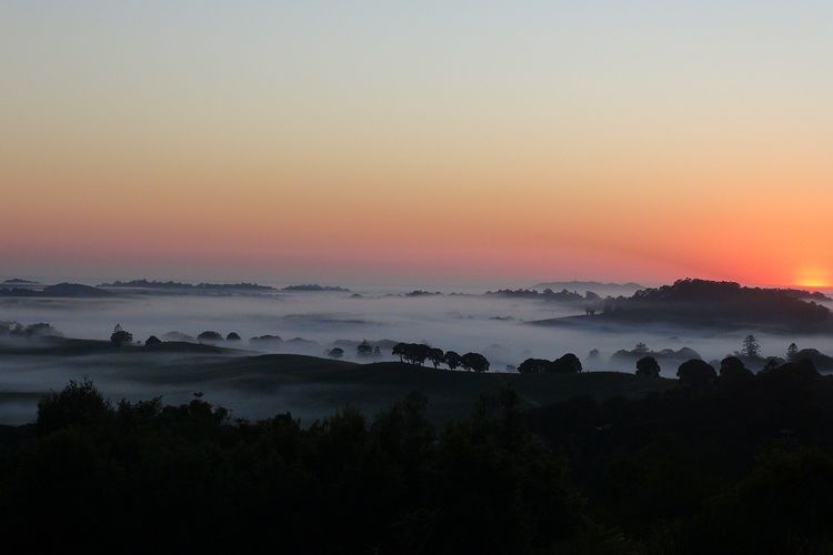 Jali Burugar – serene hinterland retreat with pool