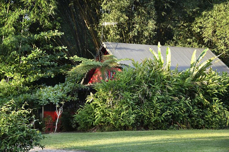 Lillypads Red Cottage
