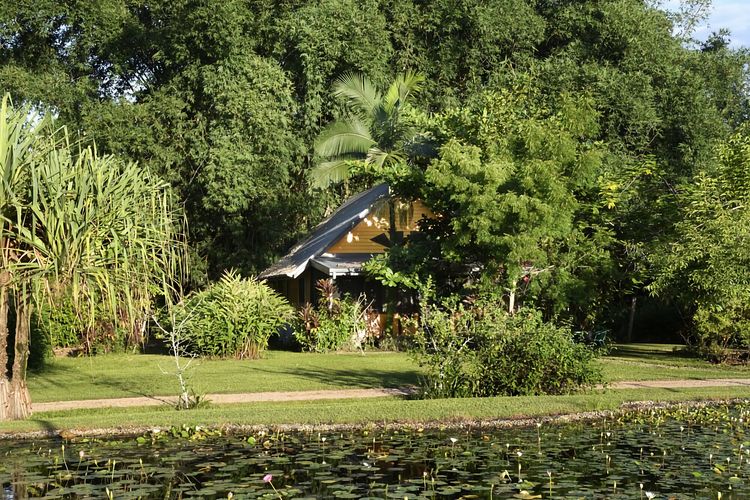 Lillypads Yellow Cottage