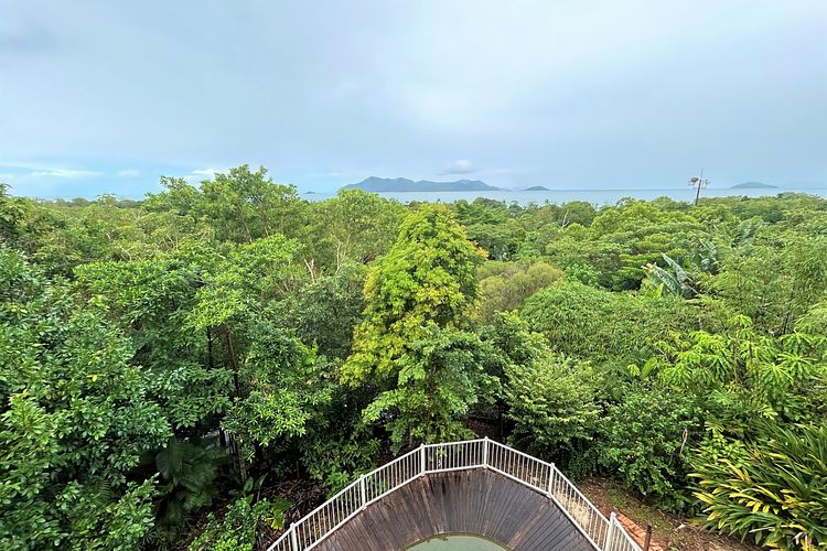 Mission Views