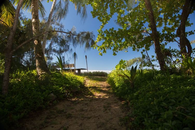 The Beach Cottage