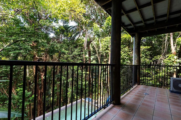 TreeTops By The Sea