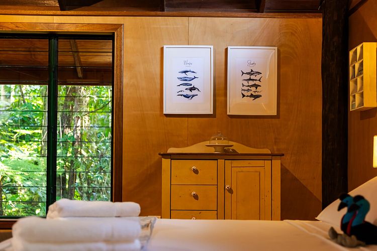 TreeTops By The Sea