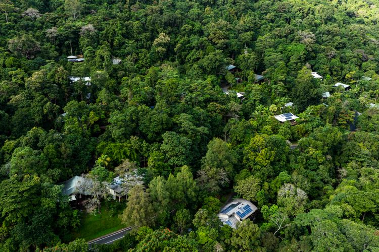 The Rainforest Nook