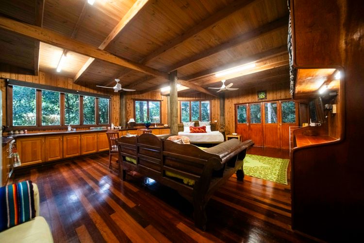 The Rainforest Nook